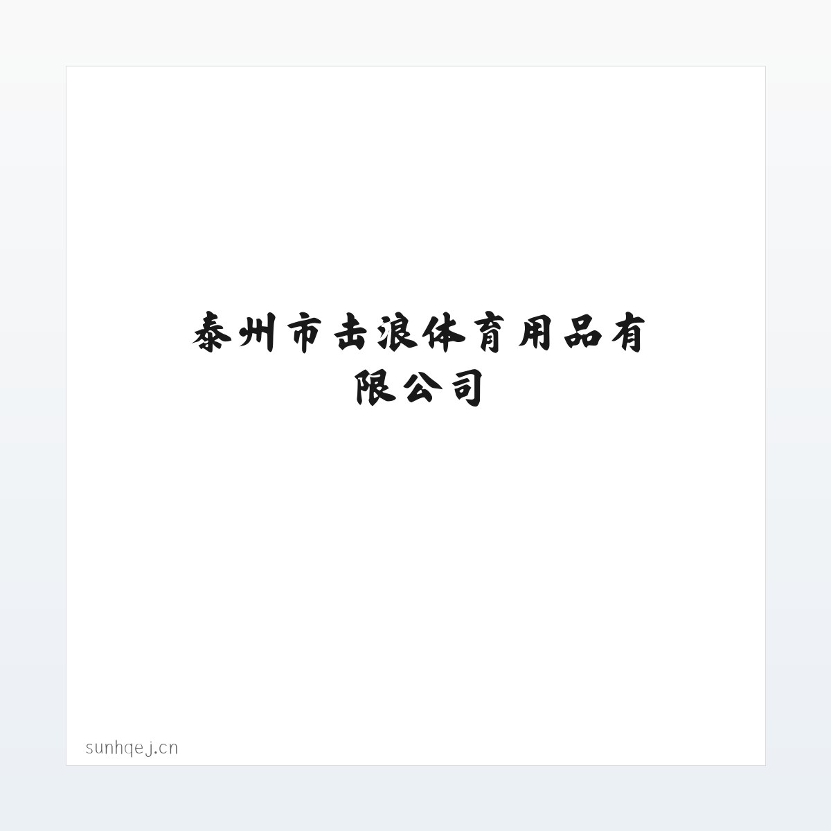 技术参数 - 泰州市击浪体育用品有限公司 方图